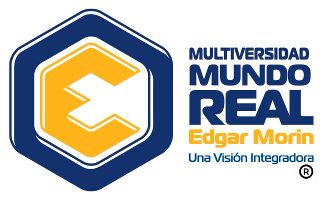 logo-mmrem